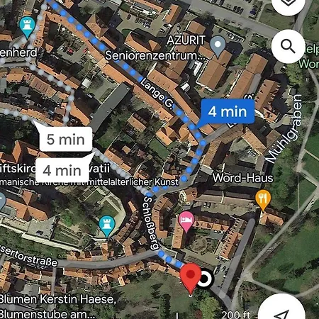 Anneliese Im Einzeldenkmal - Lange Gasse 29 *