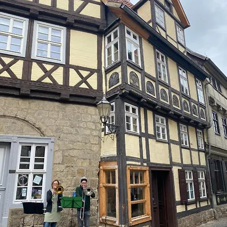 Apartment Anneliese Im Einzeldenkmal - Lange Gasse 29 *