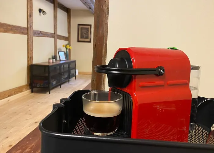 Apartamento Anneliese Im Einzeldenkmal - Lange Gasse 29